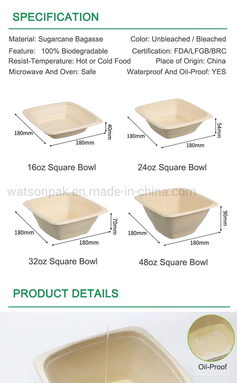 Compostable Eco-Food Packaging Bagasse Paper Bowl Snack Box Menu Bowl Gourmet Box Sandwich Box Square Box with Clear Pet Lid for School Lunch, Buffet, and Party